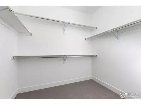 5014 Blanchette St, Timnath, CO 80547 photo 21