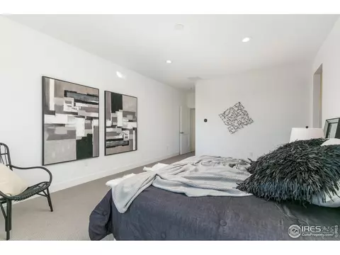 5014 Blanchette St, Timnath, CO 80547 photo 19