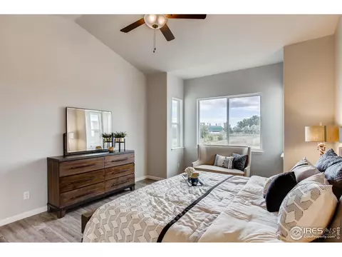 843 Lanceleaf Dr, Windsor, CO 80550 photo 16
