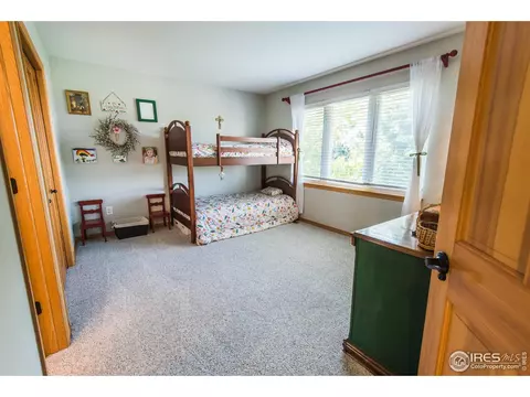 4785 Haystack Dr, Windsor, CO 80550 photo 24