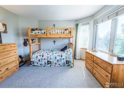 4785 Haystack Dr, Windsor, CO 80550 photo 28