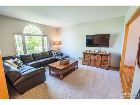 4785 Haystack Dr, Windsor, CO 80550 photo 8