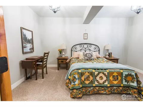 4785 Haystack Dr, Windsor, CO 80550 photo 33
