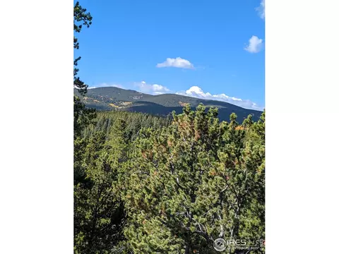 105 Jasper Rd, Black Hawk, CO 80422 photo 9