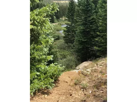233 Creek Ct, Fairplay, CO 80440