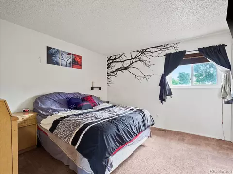 1734 E 97th Dr, Thornton, CO 80229 photo 9