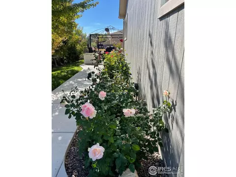3202 Lupton Ave, Evans, CO 80620 photo 8