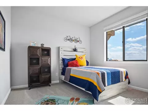 863 Lanceleaf Dr, Windsor, CO 80550 photo 15