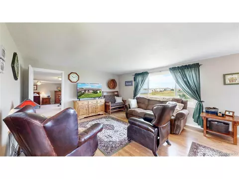 Living - 4160 Converse Rd, Bennett, CO 80102 photo 2 of 3