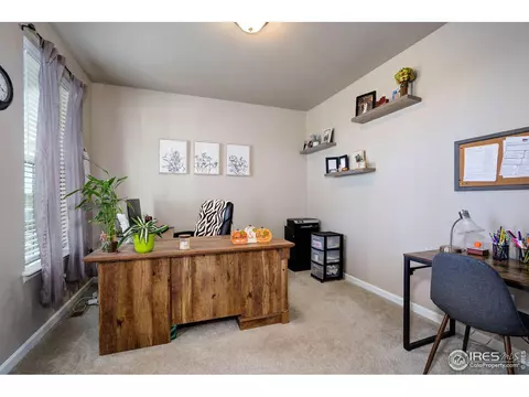 1716 Bounty Dr, Windsor, CO 80550 photo 5