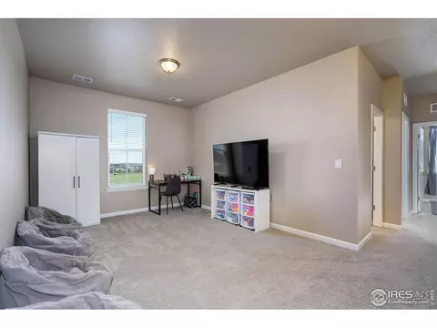 1716 Bounty Dr, Windsor, CO 80550 photo 23