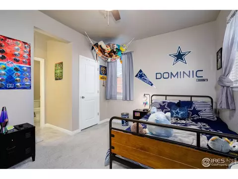 1716 Bounty Dr, Windsor, CO 80550 photo 25