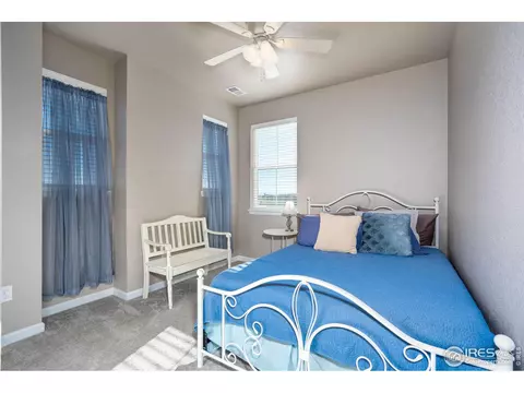 1716 Bounty Dr, Windsor, CO 80550 photo 31