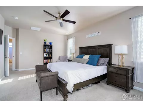 1716 Bounty Dr, Windsor, CO 80550 photo 19