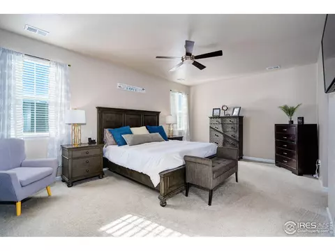 1716 Bounty Dr, Windsor, CO 80550 photo 18