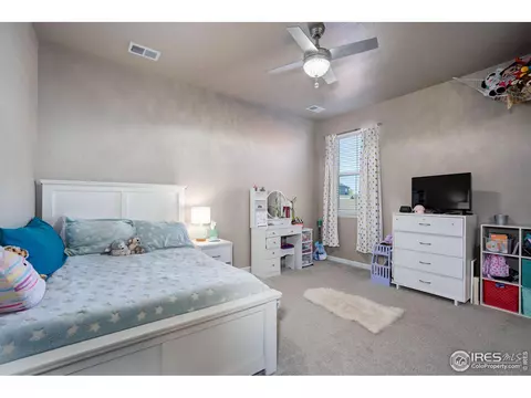 1716 Bounty Dr, Windsor, CO 80550 photo 29