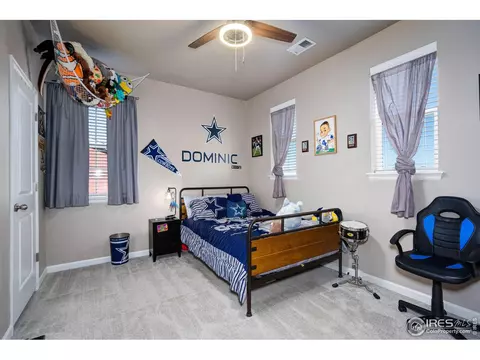 1716 Bounty Dr, Windsor, CO 80550 photo 24