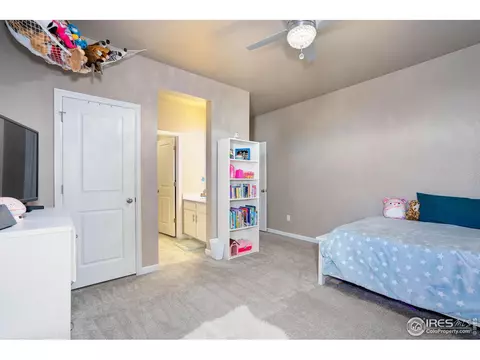 1716 Bounty Dr, Windsor, CO 80550 photo 30
