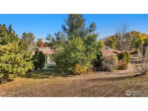 8024 Moore St, Arvada, CO 80005 photo 22