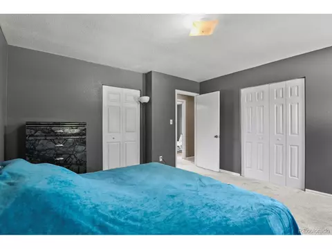 1046 Mobile St, Aurora, CO 80011 photo 18