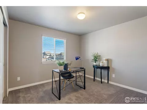 1285 Baker Pass St, Windsor, CO 80550 photo 15