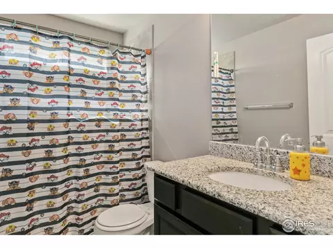1285 Baker Pass St, Windsor, CO 80550 photo 16