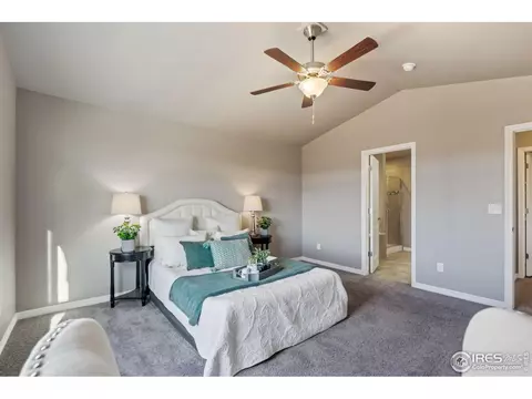 1285 Baker Pass St, Windsor, CO 80550 photo 12