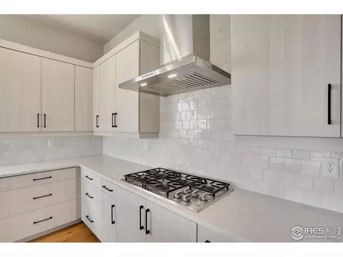 1761 Beachside Dr, Windsor, CO 80550 photo 12
