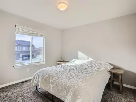 4399 Waltham Dr, Windsor, CO 80550 photo 23