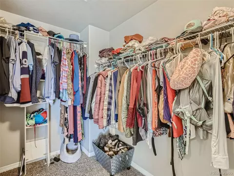 4399 Waltham Dr, Windsor, CO 80550 photo 19