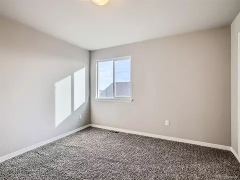 4399 Waltham Dr, Windsor, CO 80550 photo 21