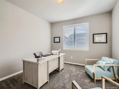 4399 Waltham Dr, Windsor, CO 80550 photo 11