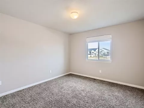 4399 Waltham Dr, Windsor, CO 80550 photo 20