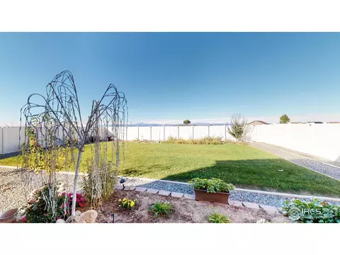 4442 Binfield Dr, Windsor, CO 80550 photo 36