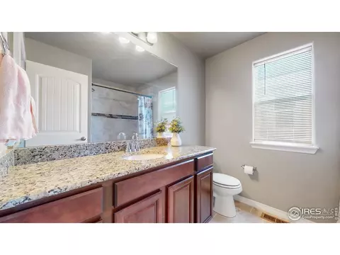 4442 Binfield Dr, Windsor, CO 80550 photo 17