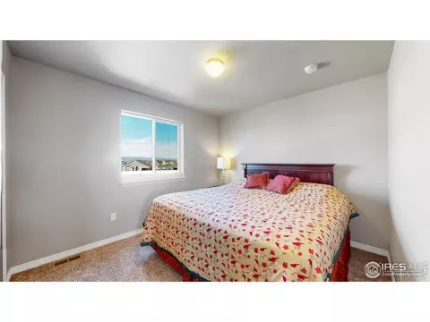 4442 Binfield Dr, Windsor, CO 80550 photo 15