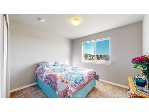 4442 Binfield Dr, Windsor, CO 80550 photo 19