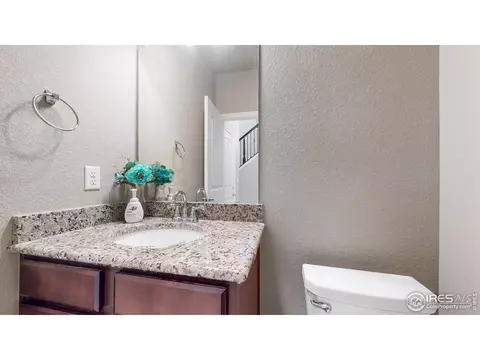 4442 Binfield Dr, Windsor, CO 80550 photo 12