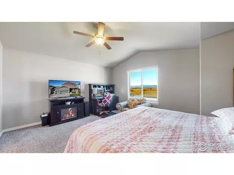4442 Binfield Dr, Windsor, CO 80550 photo 21