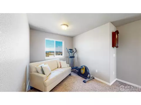 4442 Binfield Dr, Windsor, CO 80550 photo 13