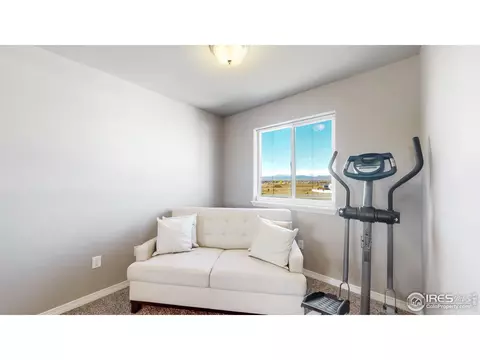 4442 Binfield Dr, Windsor, CO 80550 photo 14