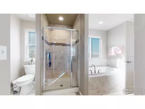 4442 Binfield Dr, Windsor, CO 80550 photo 25