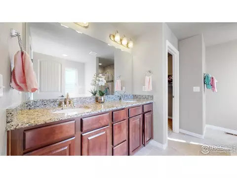 4442 Binfield Dr, Windsor, CO 80550 photo 24
