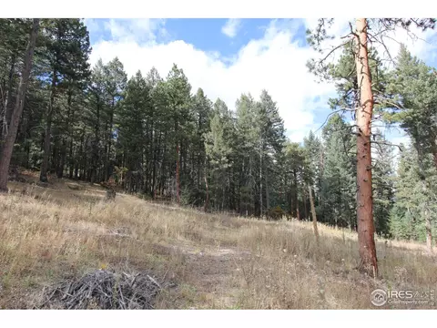 8153 Stags Leap Trl, Morrison, CO 80465 photo 12