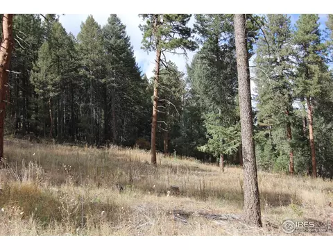 8153 Stags Leap Trl, Morrison, CO 80465 photo 4