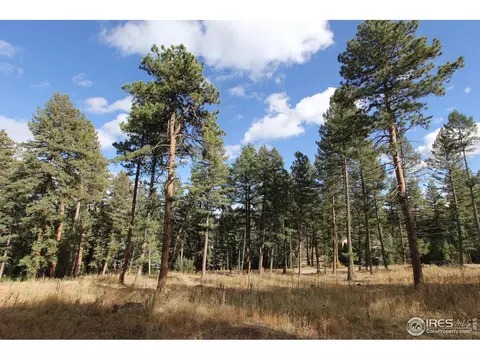 8153 Stags Leap Trl, Morrison, CO 80465 photo 15
