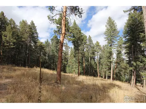 8153 Stags Leap Trl, Morrison, CO 80465 photo 11
