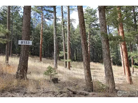 8153 Stags Leap Trl, Morrison, CO 80465 photo 1