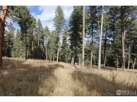 8153 Stags Leap Trl, Morrison, CO 80465 photo 9