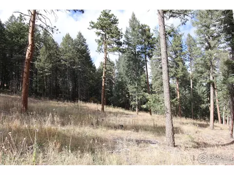 8153 Stags Leap Trl, Morrison, CO 80465 photo 5